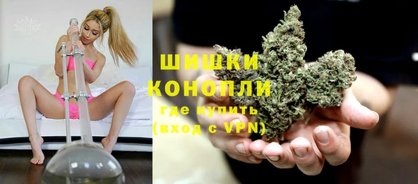 трава Бородино