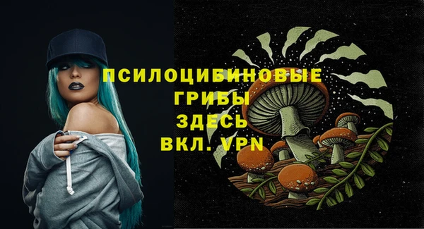 трава Бородино