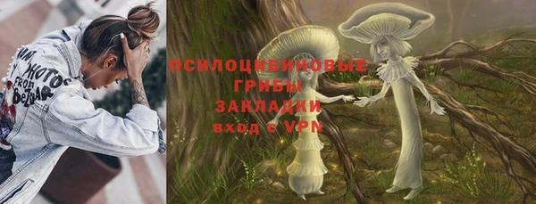 трава Бородино