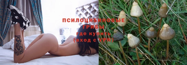 a pvp Бугульма
