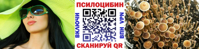 цена   Шагонар  Галлюциногенные грибы GOLDEN TEACHER 
