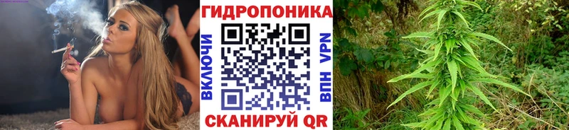 Марихуана White Widow  сколько стоит  Шагонар 